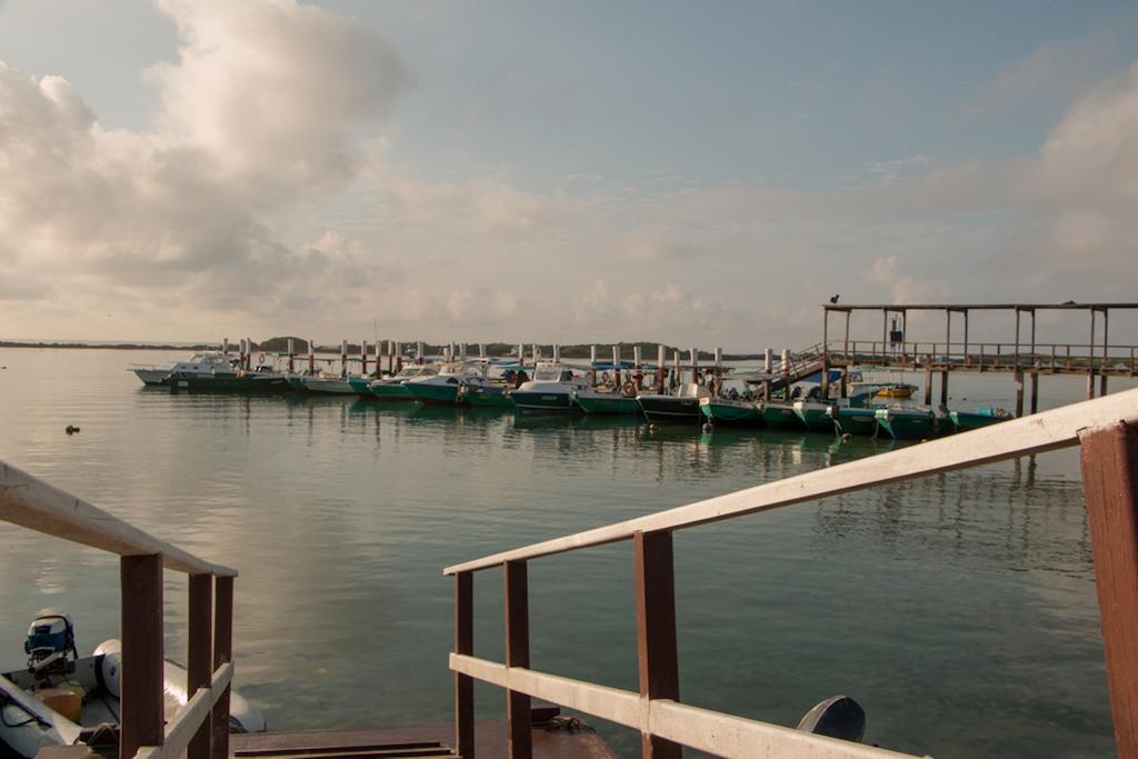 Chez Manany Galapagos Ecolodge Puerto Villamil Bagian luar foto