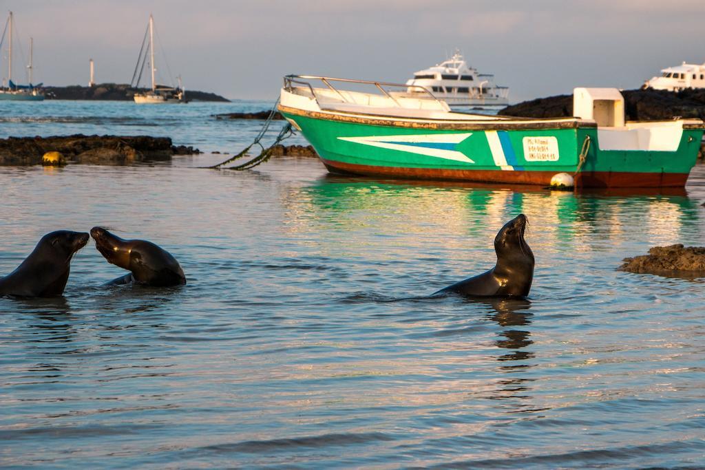 Chez Manany Galapagos Ecolodge Puerto Villamil Bagian luar foto