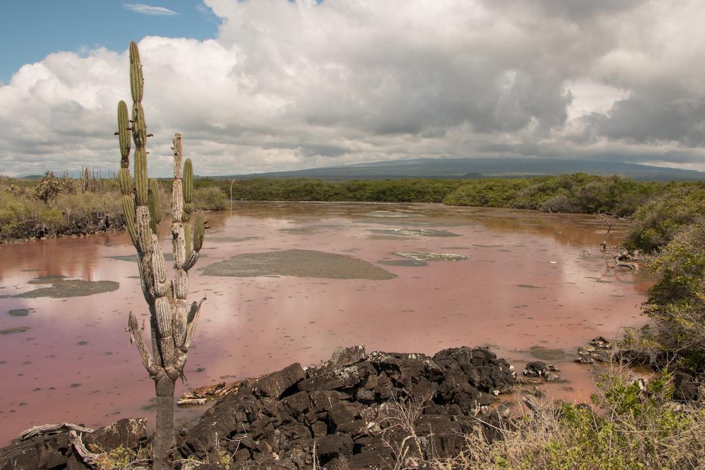 Chez Manany Galapagos Ecolodge Puerto Villamil Bagian luar foto