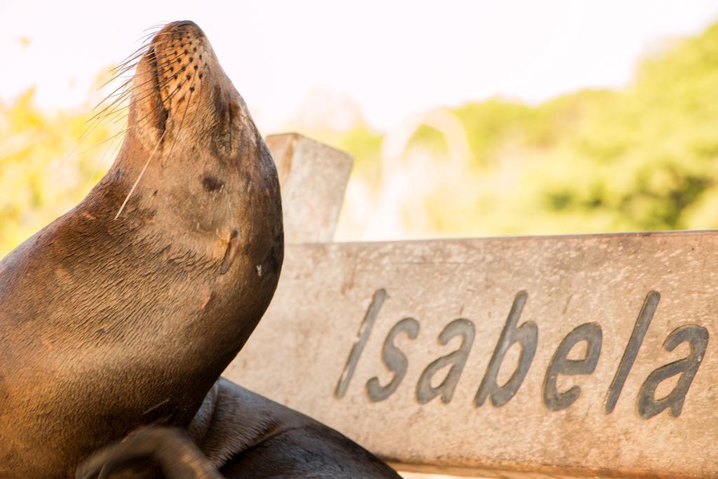 Chez Manany Galapagos Ecolodge Puerto Villamil Bagian luar foto