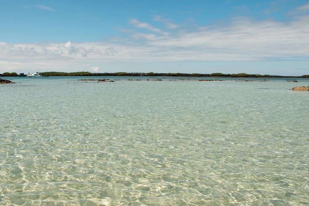 Chez Manany Galapagos Ecolodge Puerto Villamil Bagian luar foto
